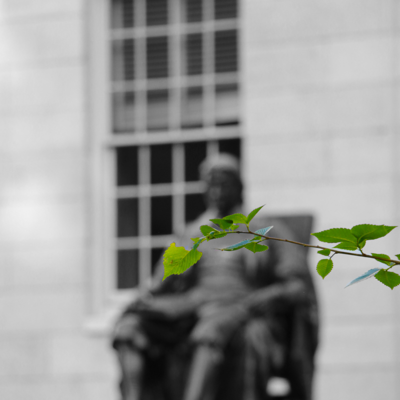 Harvard University, Boston